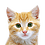 Ginger